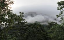 Zdjęcia z Coco Island