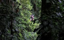 Zdjęcia z Coco Island