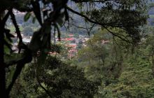 Zdjęcia z Coco Island