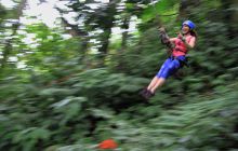 Zdjęcia z Coco Island