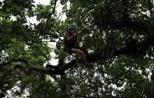 Zdjęcia z Coco Island