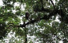 Zdjęcia z Coco Island