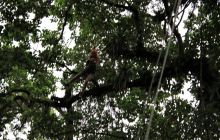 Zdjęcia z Coco Island