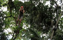 Zdjęcia z Coco Island