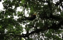 Zdjęcia z Coco Island