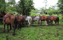 Zdjęcia z Coco Island