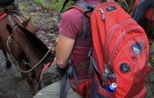 Zdjęcia z Coco Island