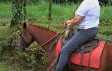 Zdjęcia z Coco Island