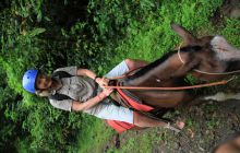 Zdjęcia z Coco Island