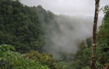 Zdjęcia z Coco Island