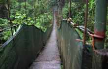 Zdjęcia z Coco Island