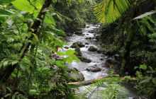 Zdjęcia z Coco Island