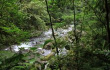 Zdjęcia z Coco Island