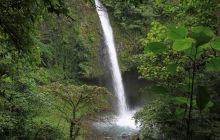 Zdjęcia z Coco Island