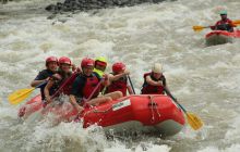 Zdjęcia z Coco Island