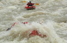 Zdjęcia z Coco Island