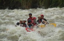 Zdjęcia z Coco Island