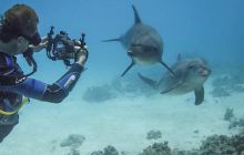 Szkolenie z Fotografii Podwodnej 