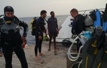 Zdjęcia z Safari Nurkowe St Johns 2017