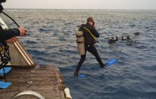 Zdjęcia z Safari Nurkowe St Johns 2017