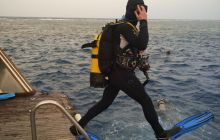 Zdjęcia z Safari Nurkowe St Johns 2017