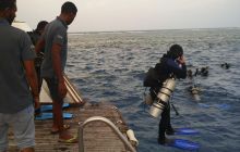 Zdjęcia z Safari Nurkowe St Johns 2017