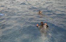 Zdjęcia z Safari Nurkowe St Johns 2017