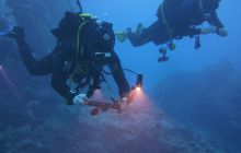 Zdjęcia z Safari Nurkowe St Johns 2017