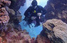 Zdjęcia z Safari Nurkowe St Johns 2017