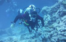 Zdjęcia z Safari Nurkowe St Johns 2017