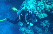 Zdjęcia z Safari Nurkowe St Johns 2017