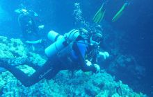 Zdjęcia z Safari Nurkowe St Johns 2017