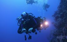 Zdjęcia z Safari Nurkowe St Johns 2017