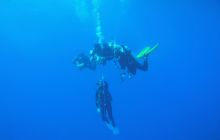 Zdjęcia z Safari Nurkowe St Johns 2017