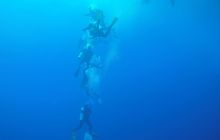 Zdjęcia z Safari Nurkowe St Johns 2017