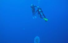 Zdjęcia z Safari Nurkowe St Johns 2017