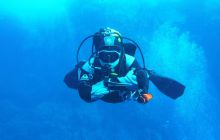 Zdjęcia z Safari Nurkowe St Johns 2017