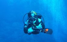 Zdjęcia z Safari Nurkowe St Johns 2017