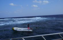 Zdjęcia z Safari Nurkowe St Johns 2017