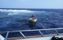 Zdjęcia z Safari Nurkowe St Johns 2017