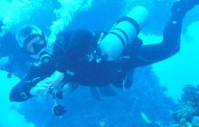 Zdjęcia z Safari Nurkowe St Johns 2017