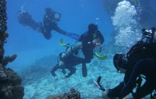 Zdjęcia z Safari Nurkowe St Johns 2017