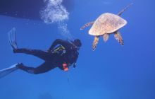 Zdjęcia z Safari Nurkowe St Johns 2017