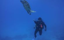 Zdjęcia z Safari Nurkowe St Johns 2017