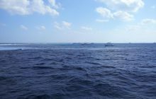 Zdjęcia z Safari Nurkowe St Johns 2017