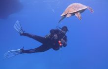 Zdjęcia z Safari Nurkowe St Johns 2017