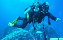 Zdjęcia z Safari Nurkowe St Johns 2017