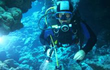 Zdjęcia z Safari Nurkowe St Johns 2017