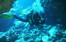 Zdjęcia z Safari Nurkowe St Johns 2017