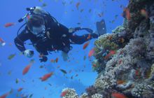 Zdjęcia z Safari Nurkowe St Johns 2017